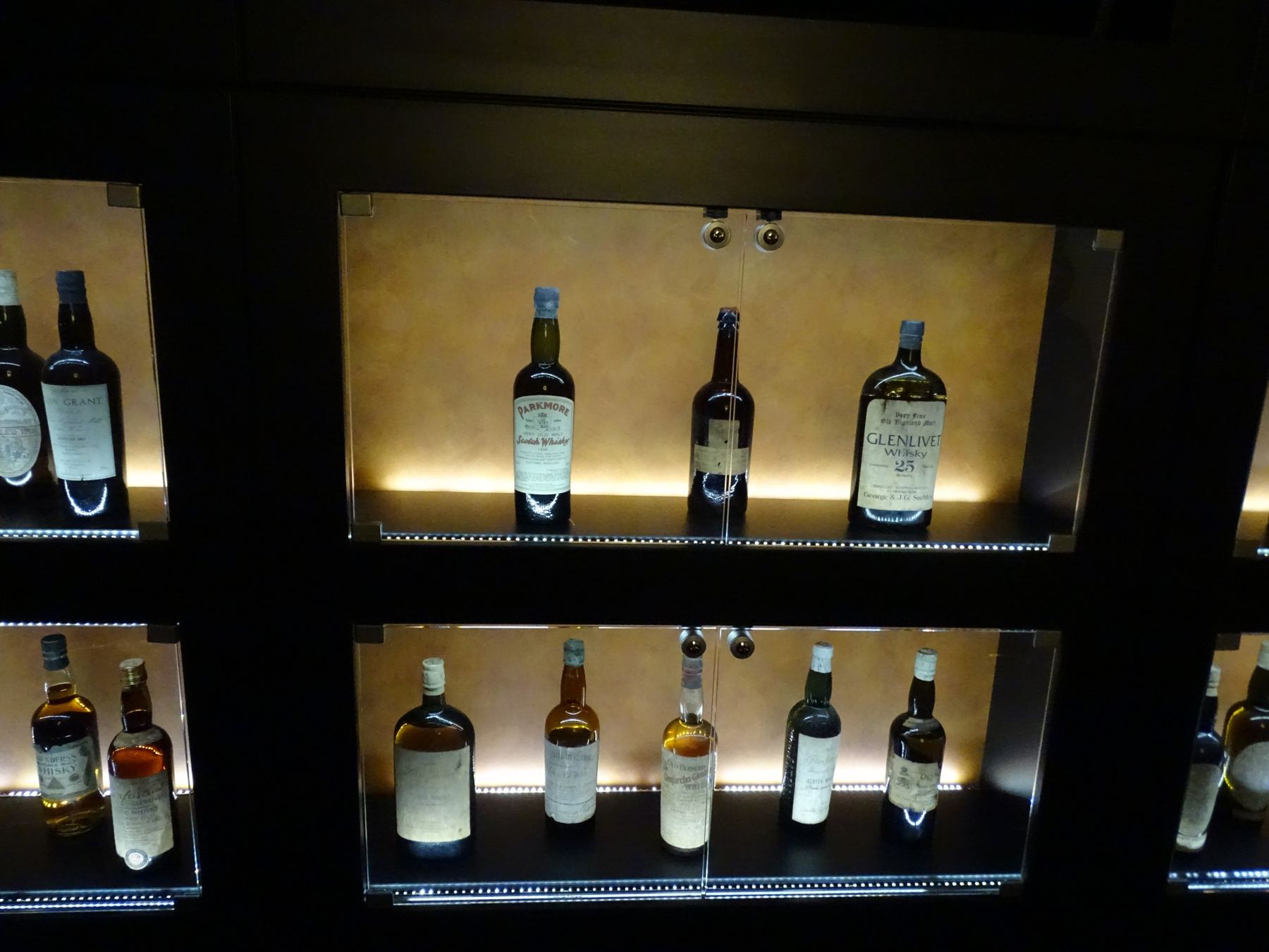 Rows of lit display cases along the exhibition wall